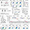 GM-CSF signaling regulates myeloid cell ARG1 expression through noncanonica
