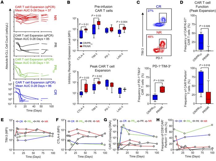 Exhaustion phenotypes are on-treatment biomarkers of resistance to CD19 ...