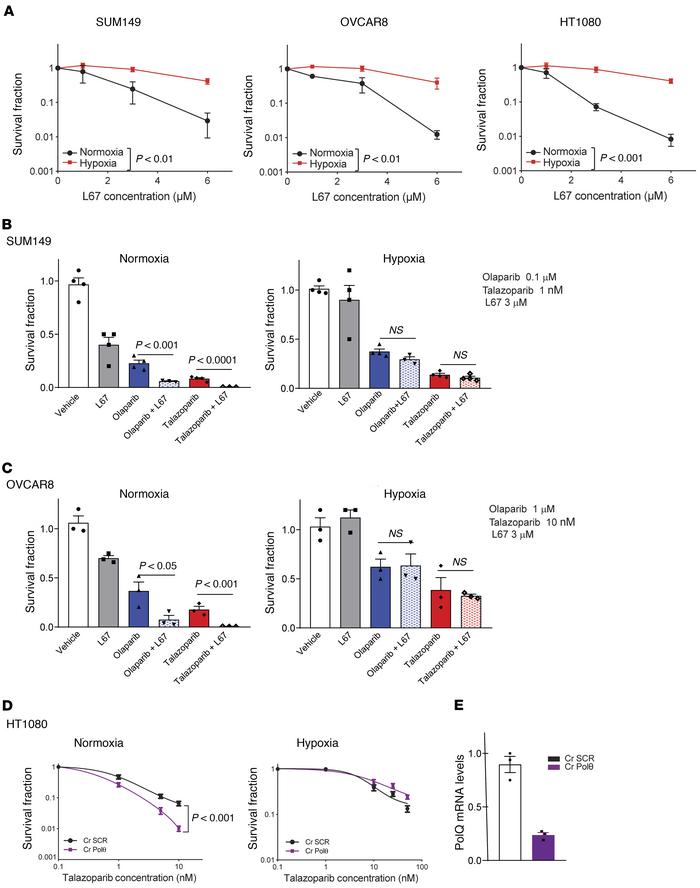 Hypoxia is also implicated in resistance to other inhibitors of the alt-...
