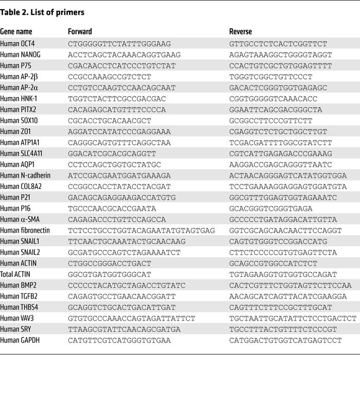 List of primers