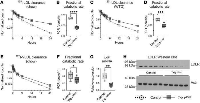 Hepatic deletion of Trib1 impairs LDL clearance due to decreased LDLR mR...