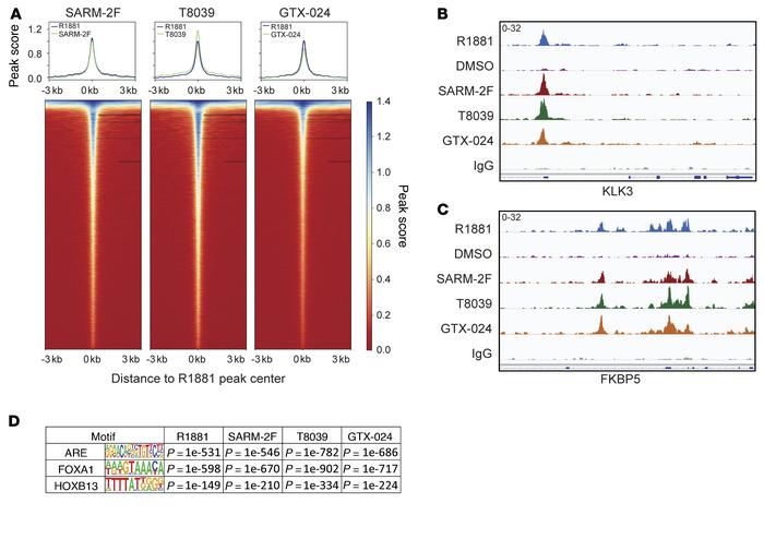 SARMs and steroidal androgens regulate concordant AR cistromes in PC.
(A...