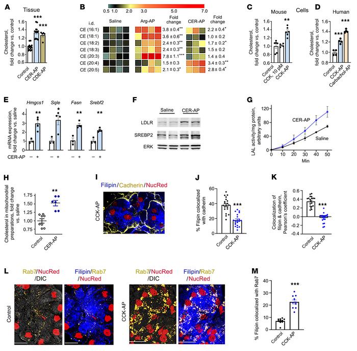 Derangement of cholesterol metabolism in experimental pancreatitis.
Char...