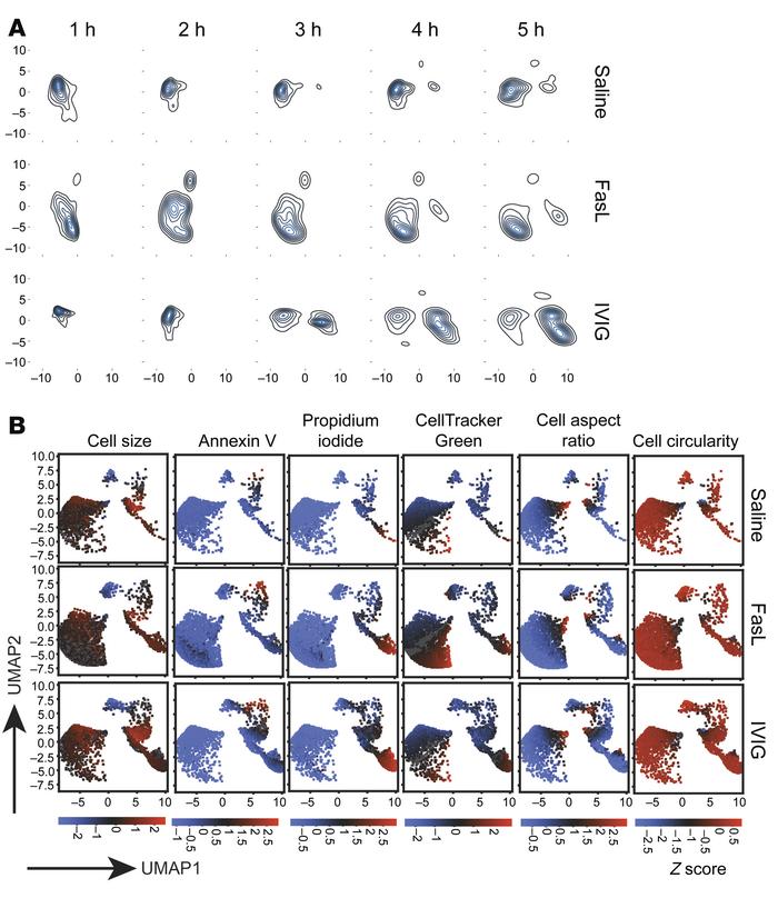 Dimension reduction analysis of neutrophil live-cell imaging reveals a u...