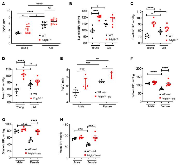 Conditional transgenic mice expressing PDGF-BB in preosteoclasts recapit...