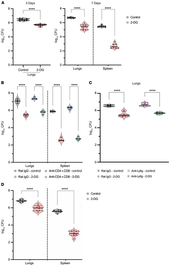 Activity of 2-DG in vivo.
(A) CFU of lungs and spleens of mice treated w...