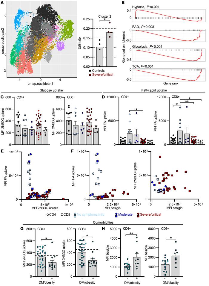 Increased fatty acid uptake is limited to T cells from mild COVID-19 and...