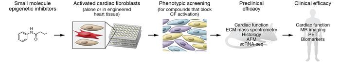 Discovering the next generation of antifibrotic epigenetic inhibitors fo...