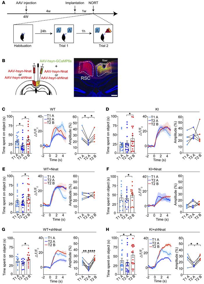 Abnormal neuronal activity is associated with the learning process in RS...