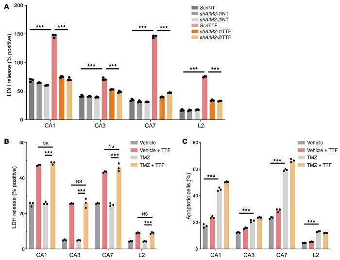 TTFields-activated AIM2/caspase 1 inflammasome induces membrane-damaged ...