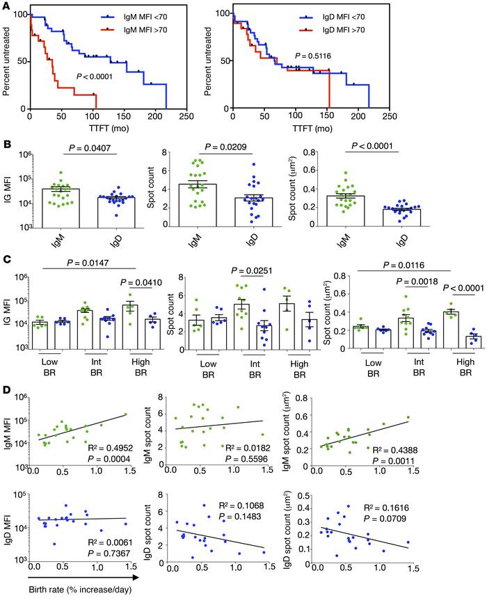 IgM and IgD are differentially expressed and organized on CLL B lymphocy...