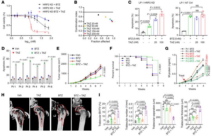 Tazemetostat sensitizes HRP2lo MM cells to bortezomib treatment in vitro...