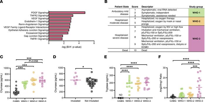 Serum chymase and MC activation pathways associated with severe COVID-19...