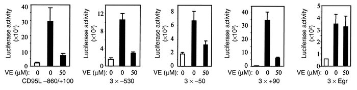 Vitamin E downregulates the CD95L promoter and CD95L NF-κB– or CD95L AP-...