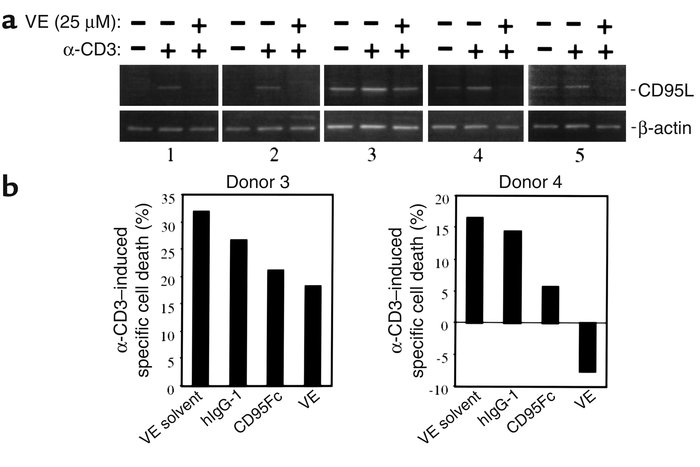 Vitamin E reduces CD95L mRNA levels in peripheral blood T cells of HIV-p...