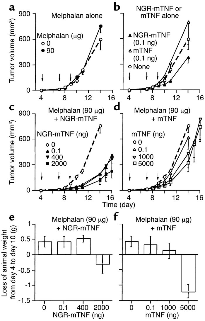 Effect of melphalan, alone (a) or in combination with NGR-mTNF (c) or mT...