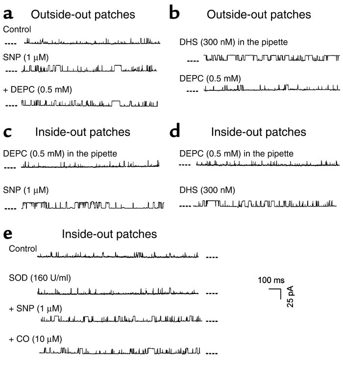 The mechanisms underlying the inhibition of CO effect on KCa channels by...