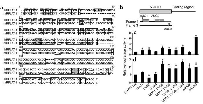 Effect of uORFs on RFLAT-1 translation efficiency. (a) Sequence alignmen...