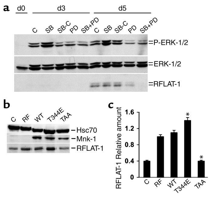 RFLAT-1 expression is regulated by MAP kinases and Mnk1. (a) PHA-activat...