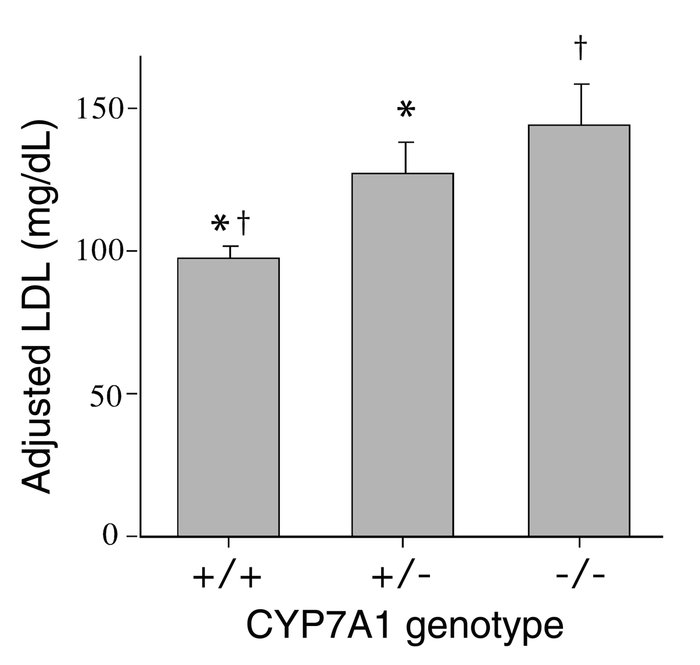 Plasma LDL analysis. Values were adjusted for age and sex and are means ...