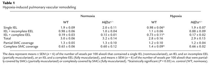 Hypoxia-induced pulmonary vascular remodeling