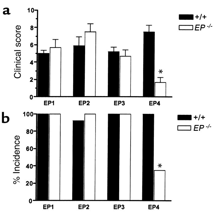 Development of arthritis in EP receptor–deficient animals. (a) Severity ...