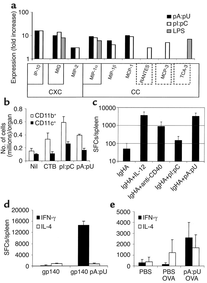 The impact of defined dsRNA motifs on innate immunity and APCs. (a) The ...