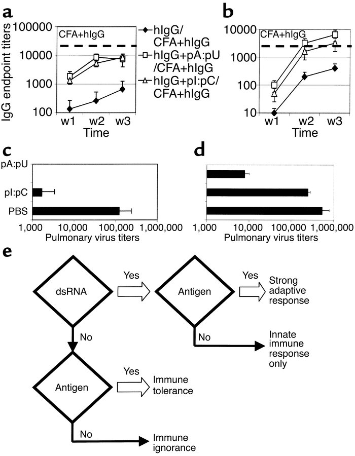 The “danger-signal” quality of dsRNA motifs. (a and b) dsRNAs prevent hi...