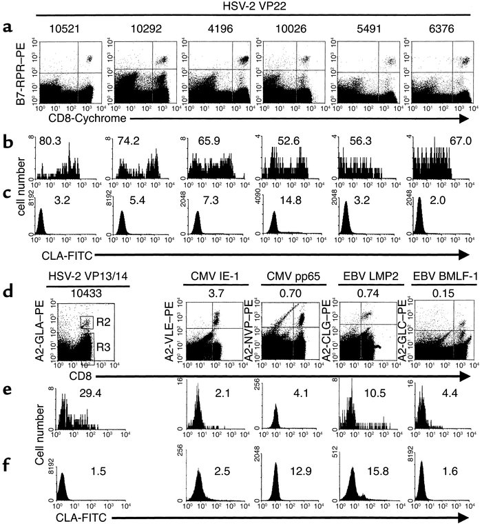 CLA expression by circulating CD8+ lymphocytes specific for human herpes...