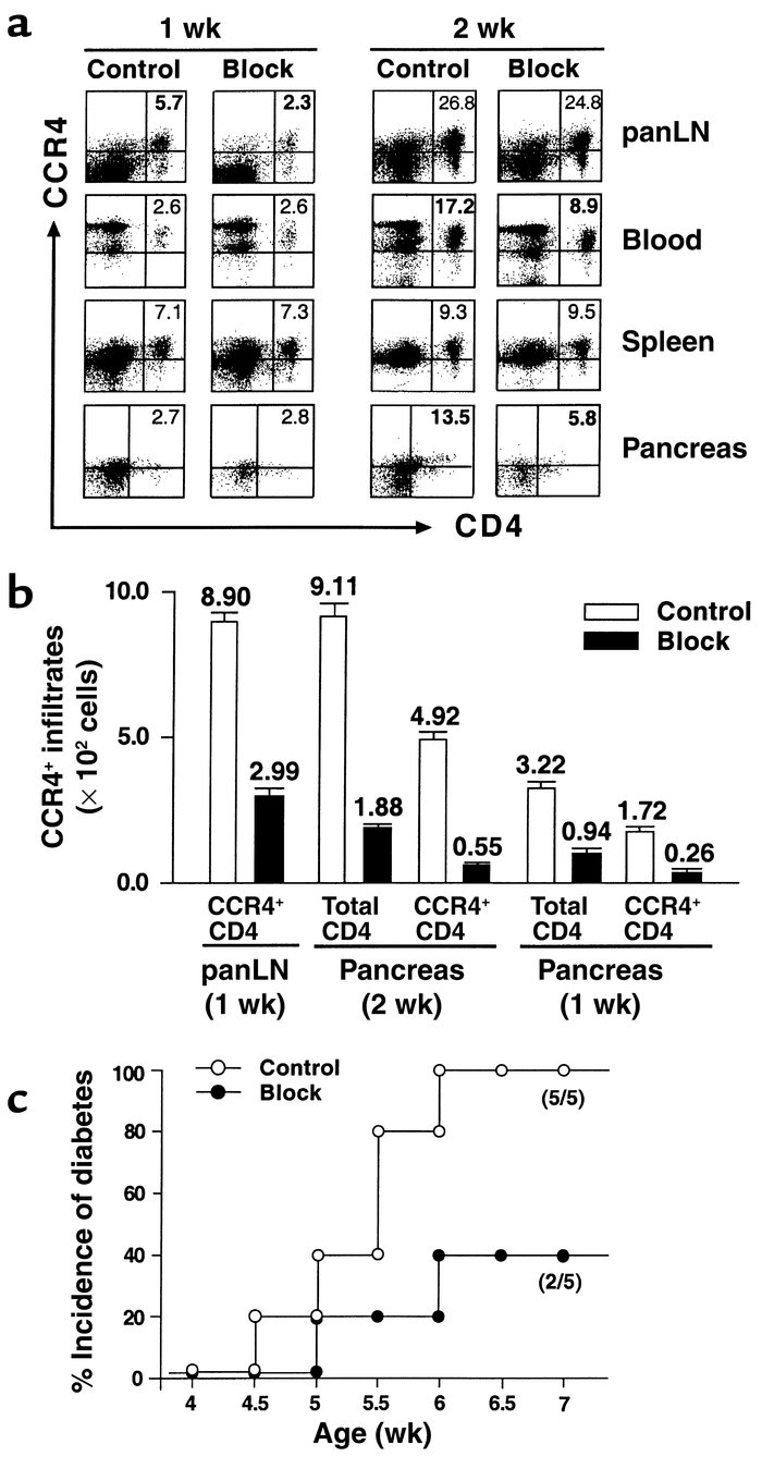 Attenuated disease onset and insulitis frequency after MDC blockage. The...