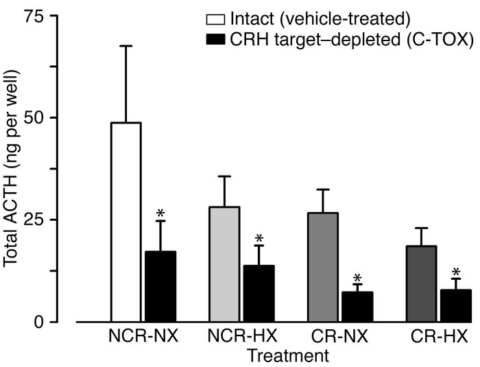 Total ACTH content (ng/well; mean ± SEM) measured during basal condition...