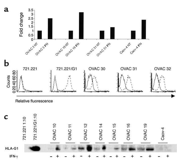 Expression of nonclassical HLA molecules. (a) The expression of HLA-E mR...