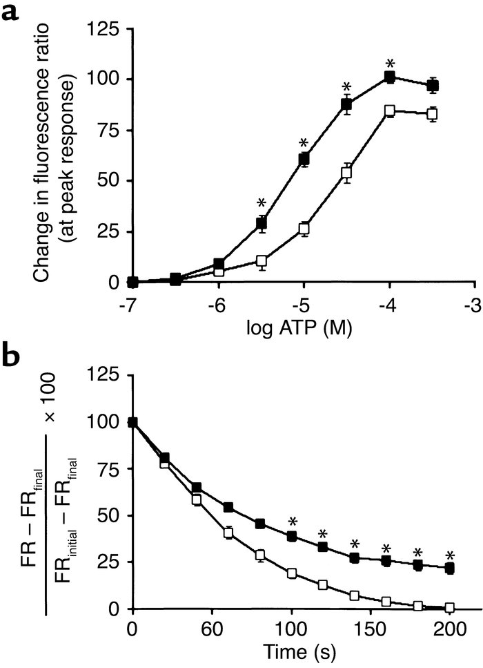 Changes in intracellular calcium levels in response to vasoconstrictors ...