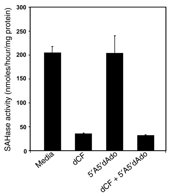Rescue of ADA-inhibited FTOCs with an adenosine kinase inhibitor does no...