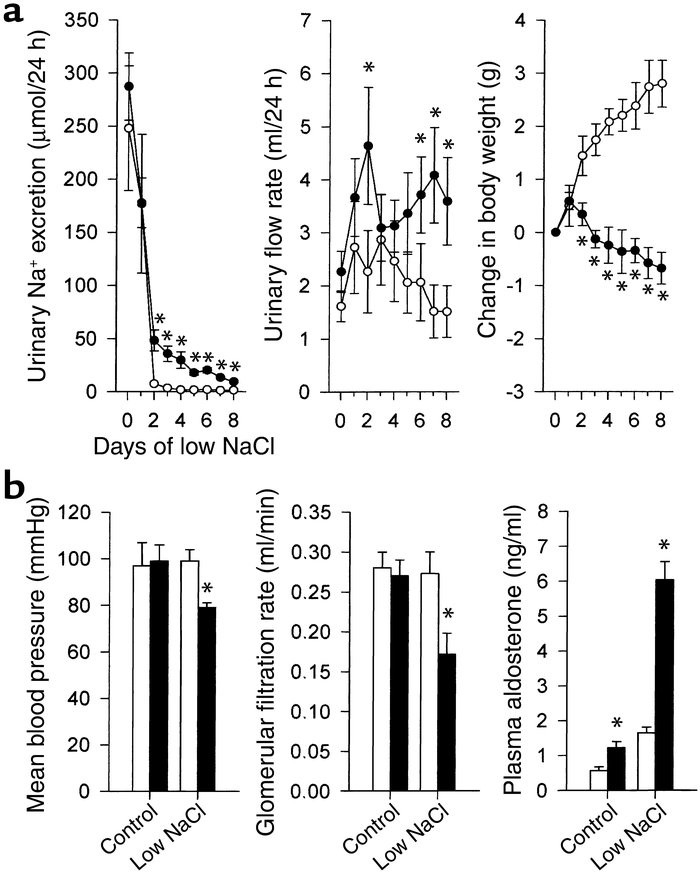 Deficient adaptive response to low Na+ intake in sgk1–/– mice. (a) Urina...