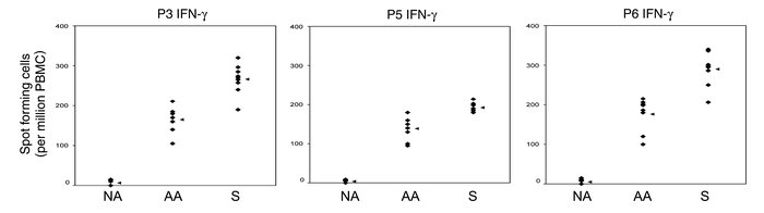 The figure shows the IFN-γ ELISpot data for the three peptides (P3, P5, ...