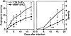 MMP-9 knockout mice are protected from HSK pathogenesis. Groups of 129 Sv/E