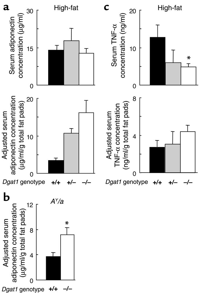 Serum adiponectin and TNF-α levels in Dgat1–/– mice. (a) Serum adiponect...