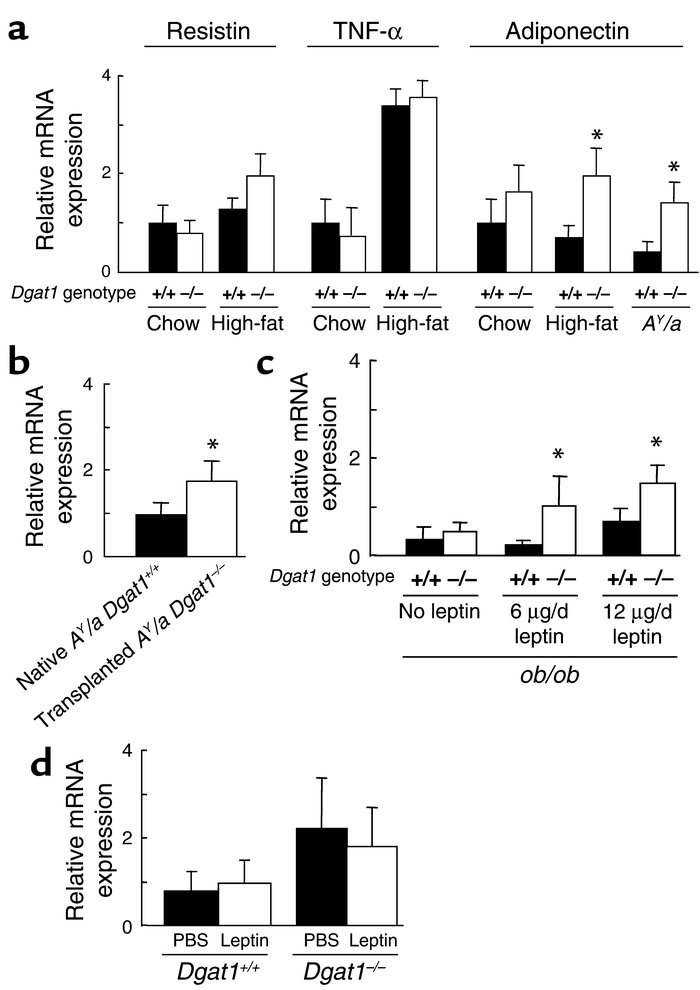 Expression of adipocyte-derived molecules. (a) Resistin, TNF-α, and adip...