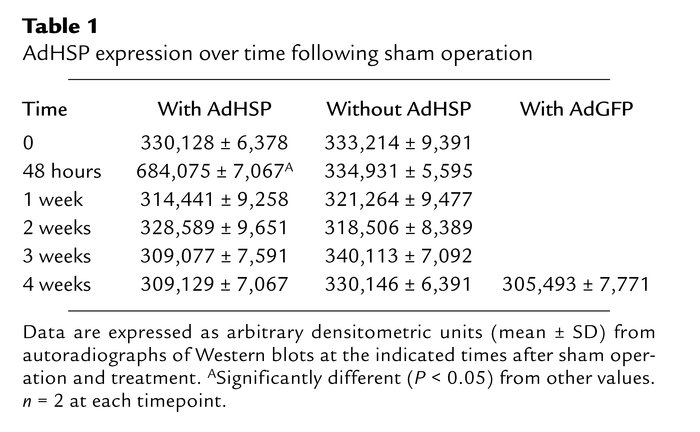 AdHSP expression over time following sham operation