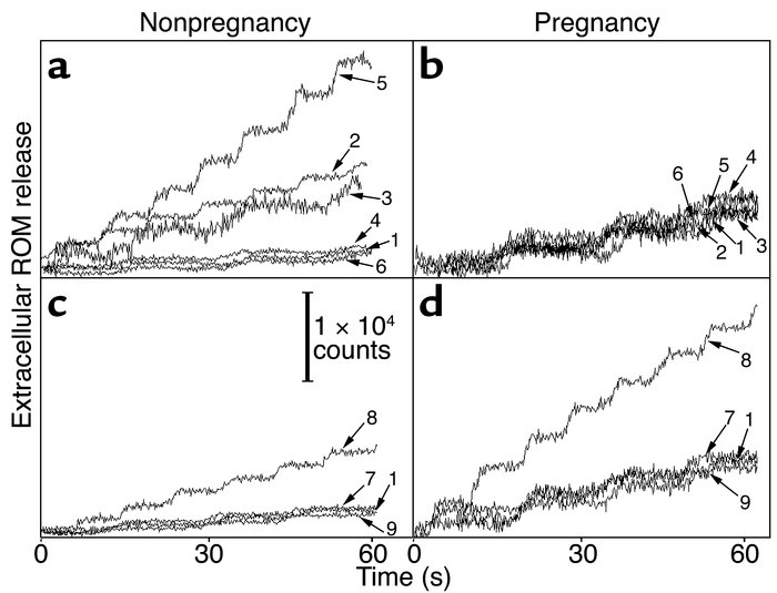 Rates of ROM release by neutrophils from nonpregnant (a and c) and pregn...