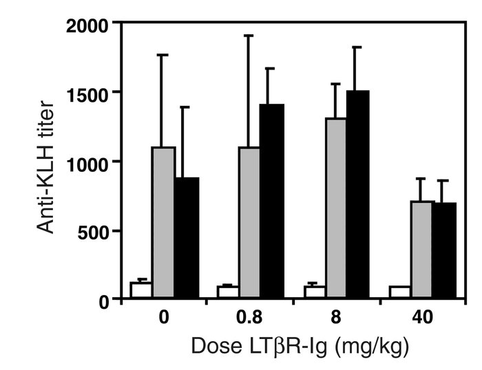 KLH Ab responses are unaffected by LTβR-Ig treatment. Serum was collecte...