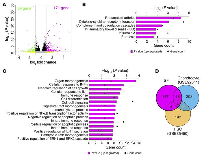
Uhrf1 depletion induces upregulation of RA-related genes in synovial fi...