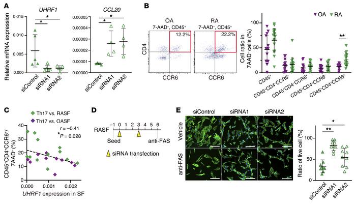 UHRF1 negatively regulates CCL20 expression and apoptosis resistance in ...