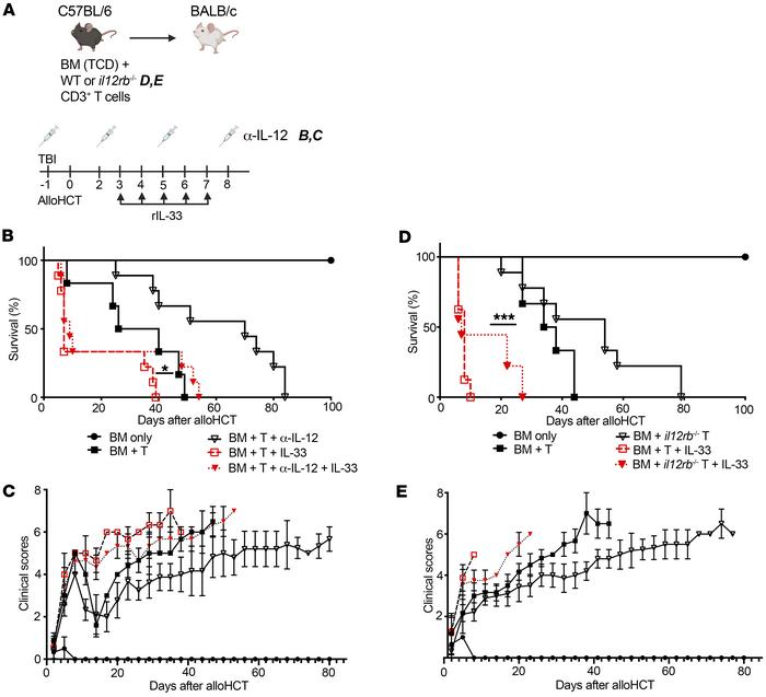 Administration of IL-33 after alloHCT increases the severity of GVHD ind...