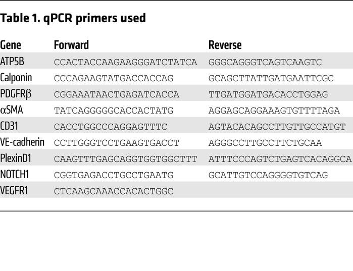 qPCR primers used
