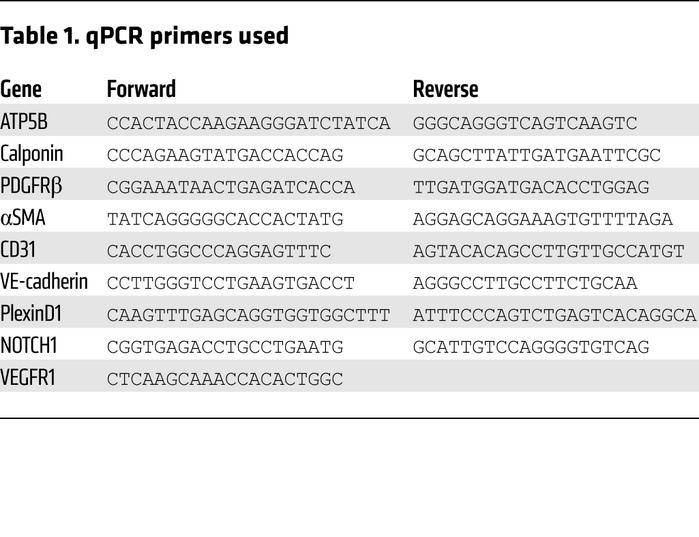 qPCR primers used