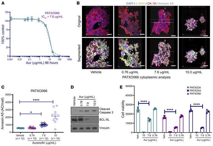 ACI quantification of annexin A5 for cell viability measurement using th...