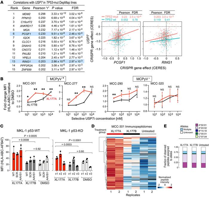 Pharmacologic inhibition of PRC1.1 component USP7 upregulates HLA-I in M...