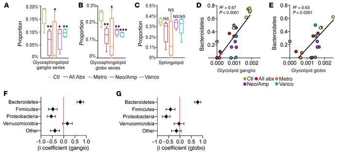 Antibiotic administration alters the glycolipid signature of the liver m...